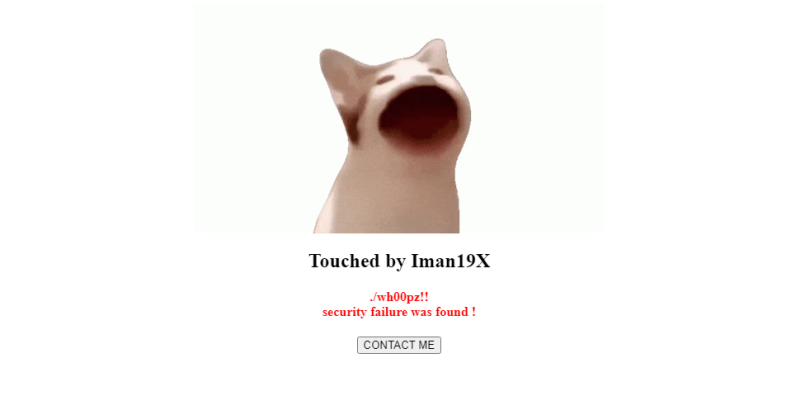 File:Iman19X 2.png